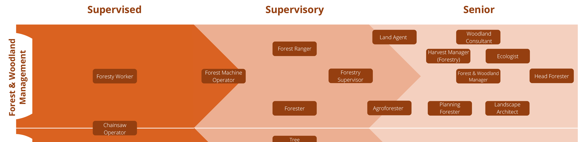 Swimlane image for Forestry & Arboriculture